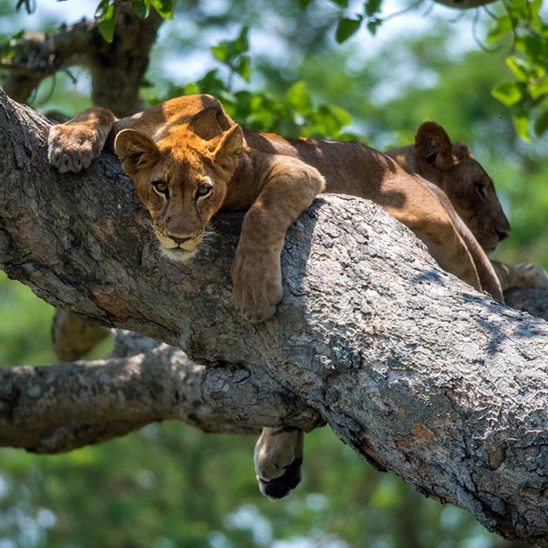 Zdjęcie miejsca dolecowego