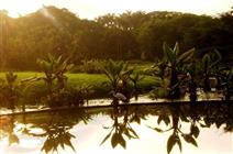 Conociendo la Sabana venezolana