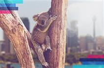 Najtańsze bilety do Australii. Jak kupić lot w dobrej cenie?