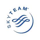 Sky Team